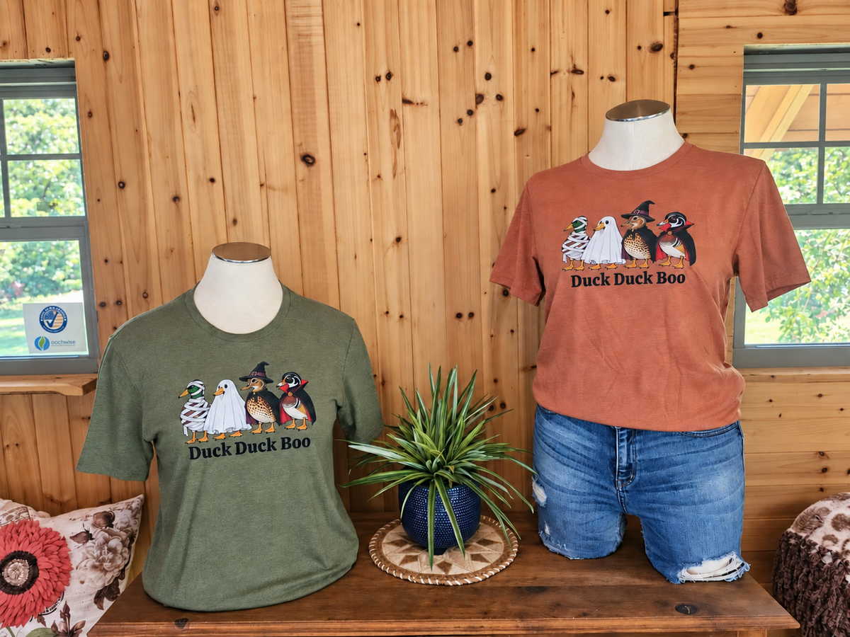Duck Duck Boo Halloween Tee | Cute Duck Halloween Shirt | Fall Graphic Tee