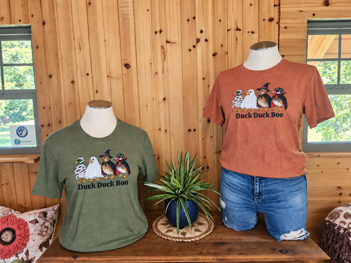 Duck Duck Boo Halloween Tee | Cute Duck Halloween Shirt | Fall Graphic Tee